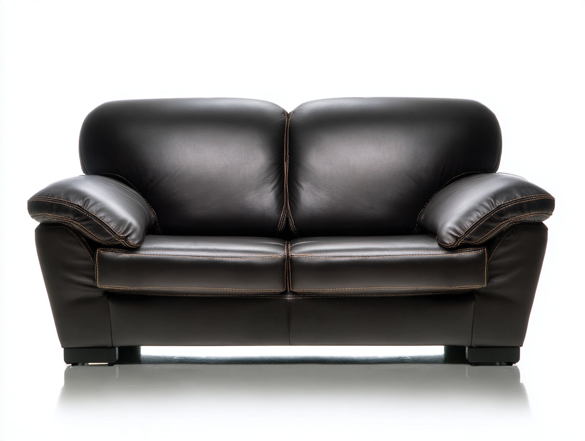 Zweisitzer Sofa mit Lederbezug 180x95x95 cm - Schwarz - Komfortpolsterung - Modernes Design